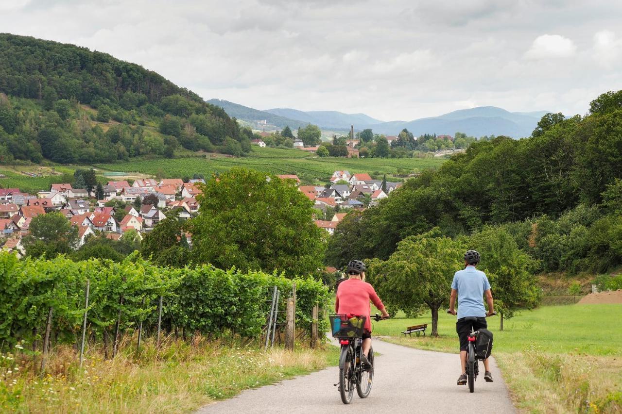 Landhotel Hauer Pleisweiler-Oberhofen Buitenkant foto